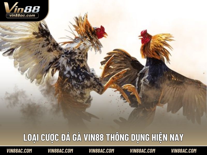 Loại cược đá gà VIN88 thông dụng hiện nay