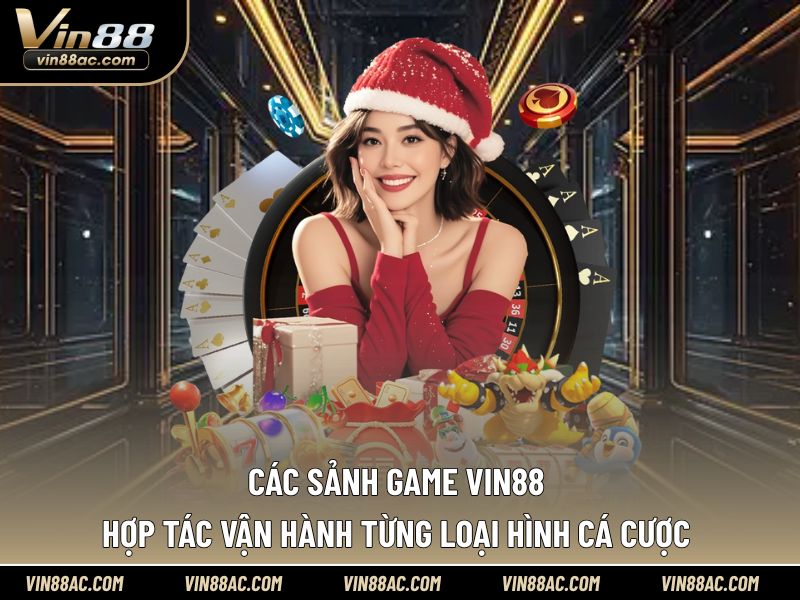 Các sảnh chơi quốc tế cung cấp sản phẩm chất lượng cho Vin88
