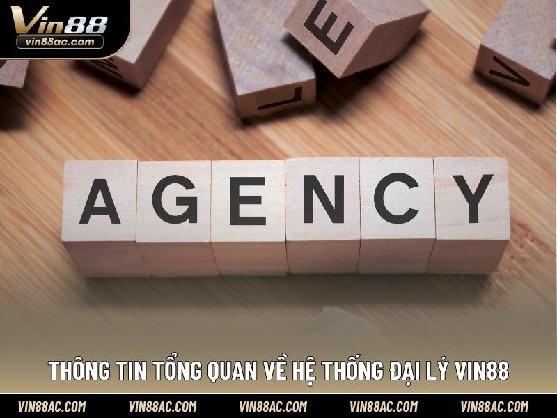 Thông tin tổng quan về hệ thống đại lý VIN88