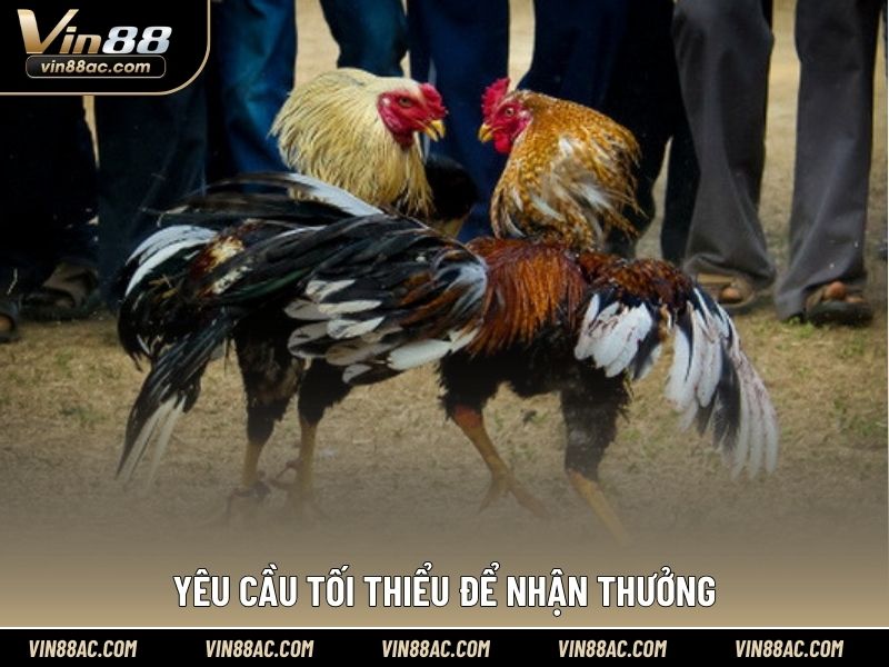 Yêu cầu tối thiểu để nhận thưởng